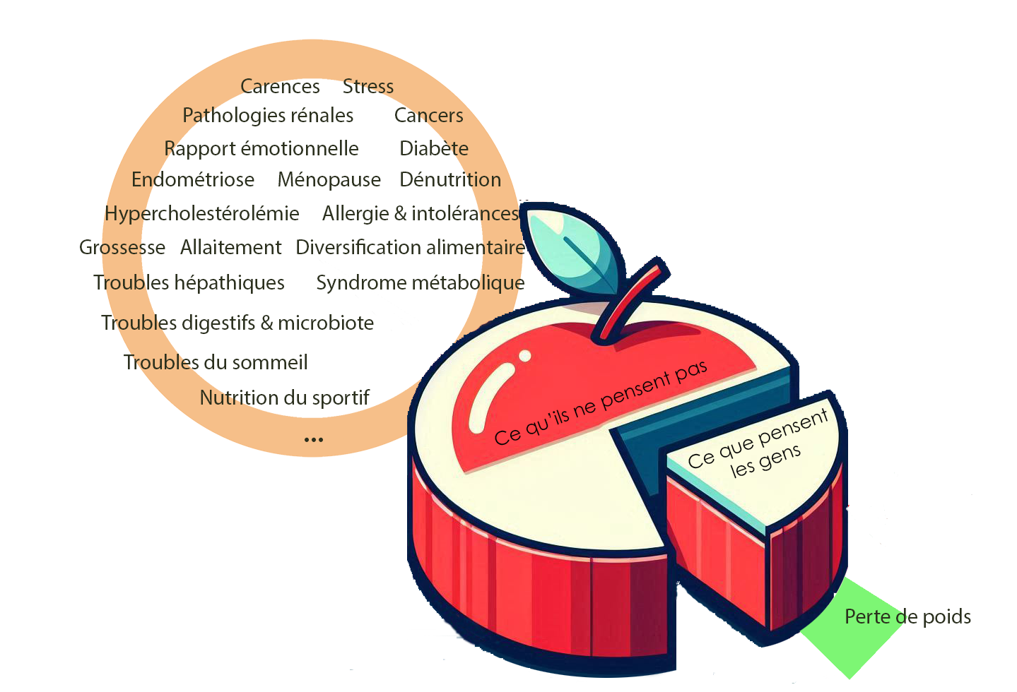 carences, stress, pathologies rénales, cancers, rapport émotionnelle, diabète, endométriose, ménopause, dénutrition, hypercholestérolémie, allergie & intolérances, grossesse, allaitement, diversification alimentaire, troubles hépathiques, syndrôme métabolique, troubles digestifs & microbiote, troubles du sommeil, nutrition du sportifs